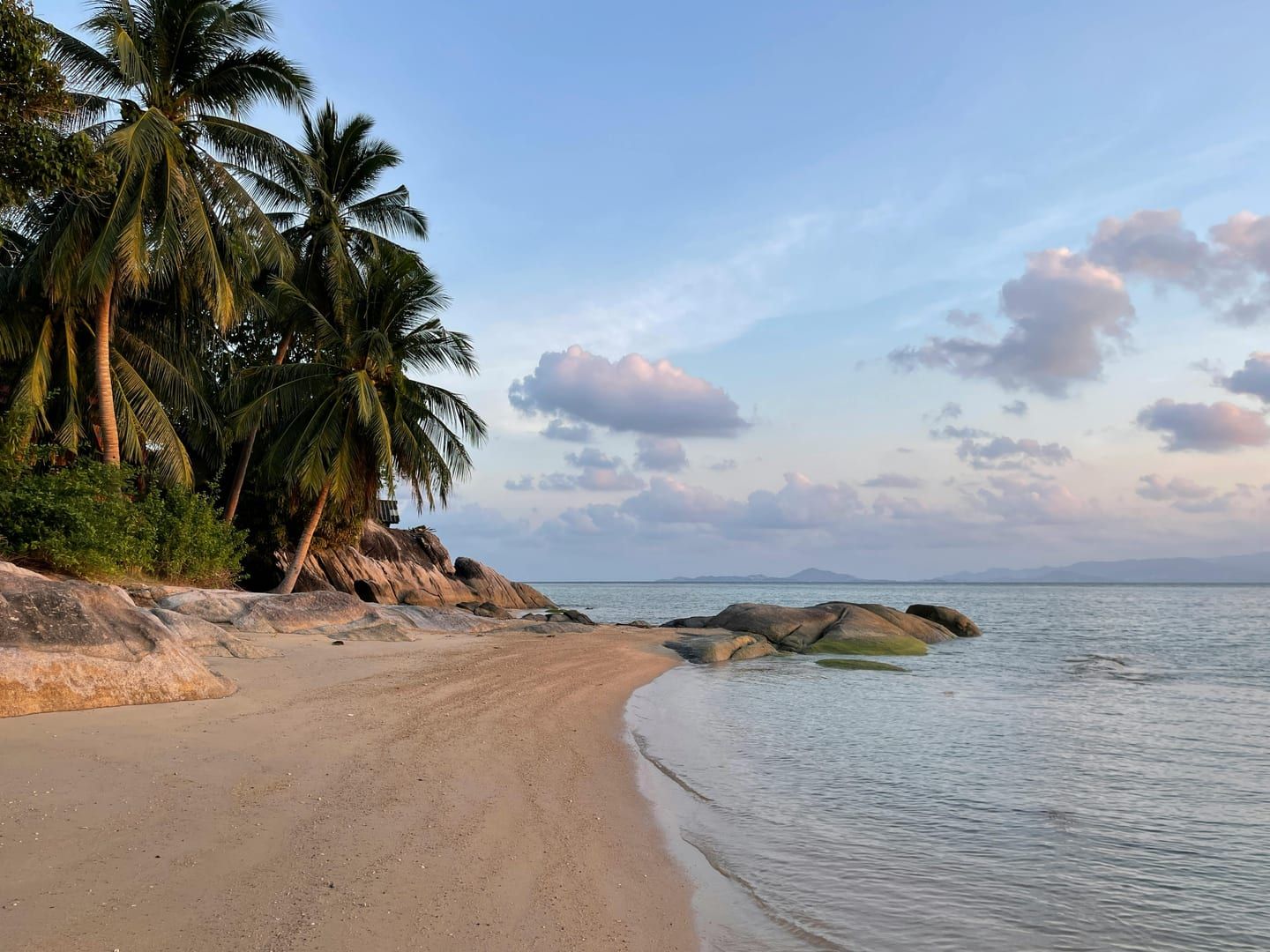Palm trees and sandy shore on Maenam Beach Koh Samui north coast