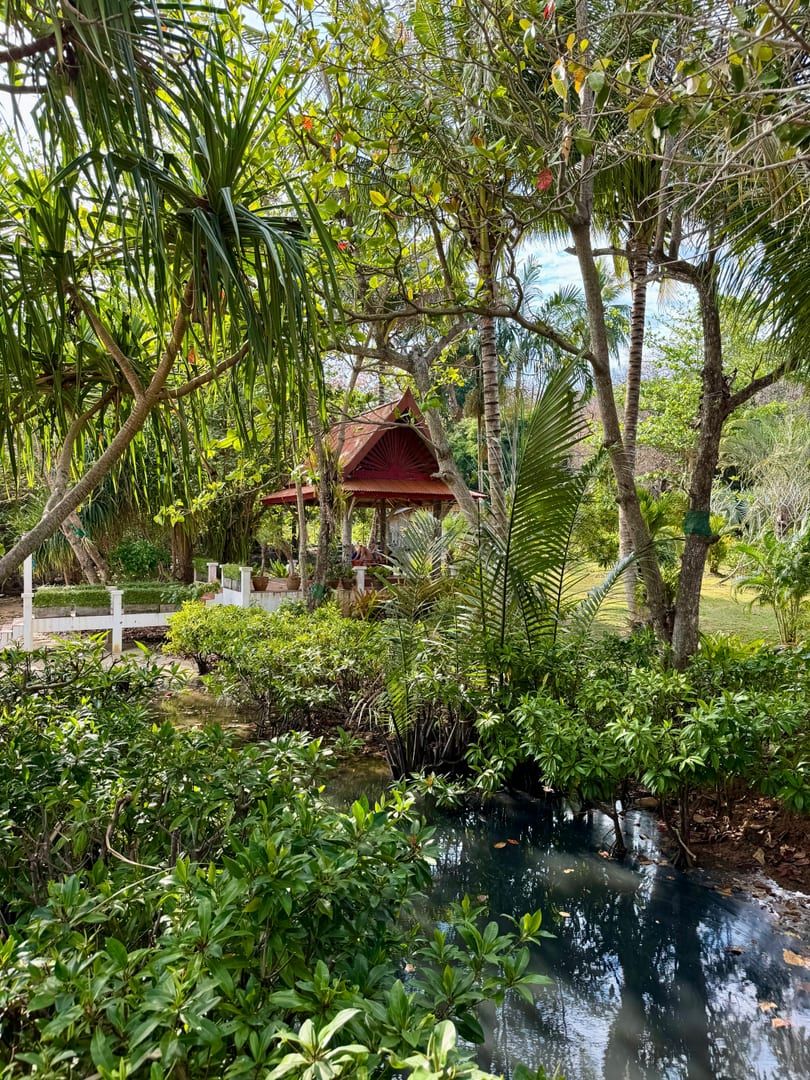 Silent meditation hall at Dipabhavan Koh Samui