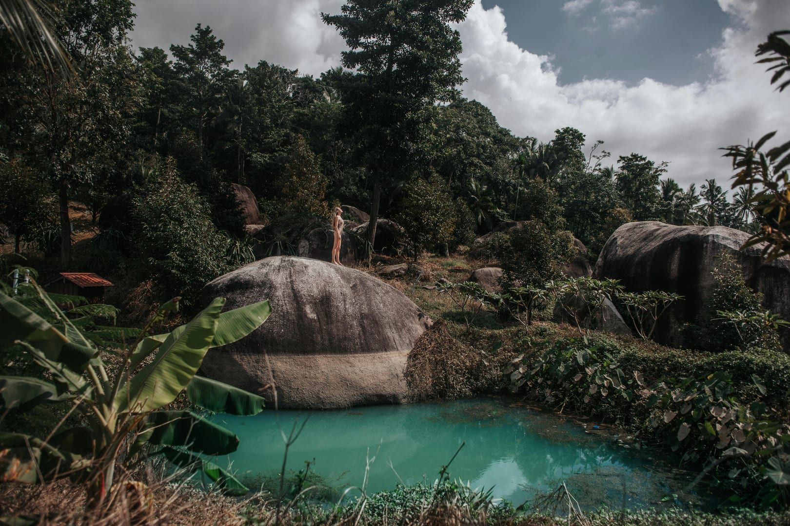 Lush tropical lagoon near the free waterfall at Nathon Samui