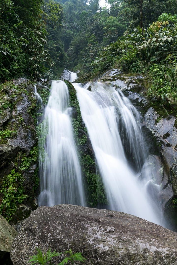 Water flowing over mossy stones in central Samui