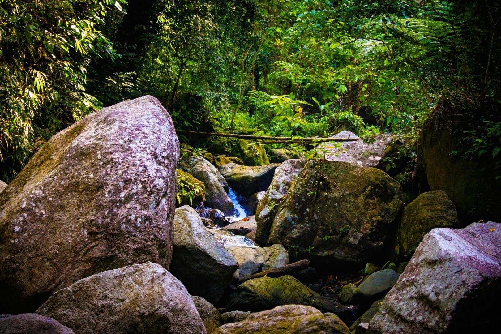 Large granite boulders defining the landscape of Lat Wanon