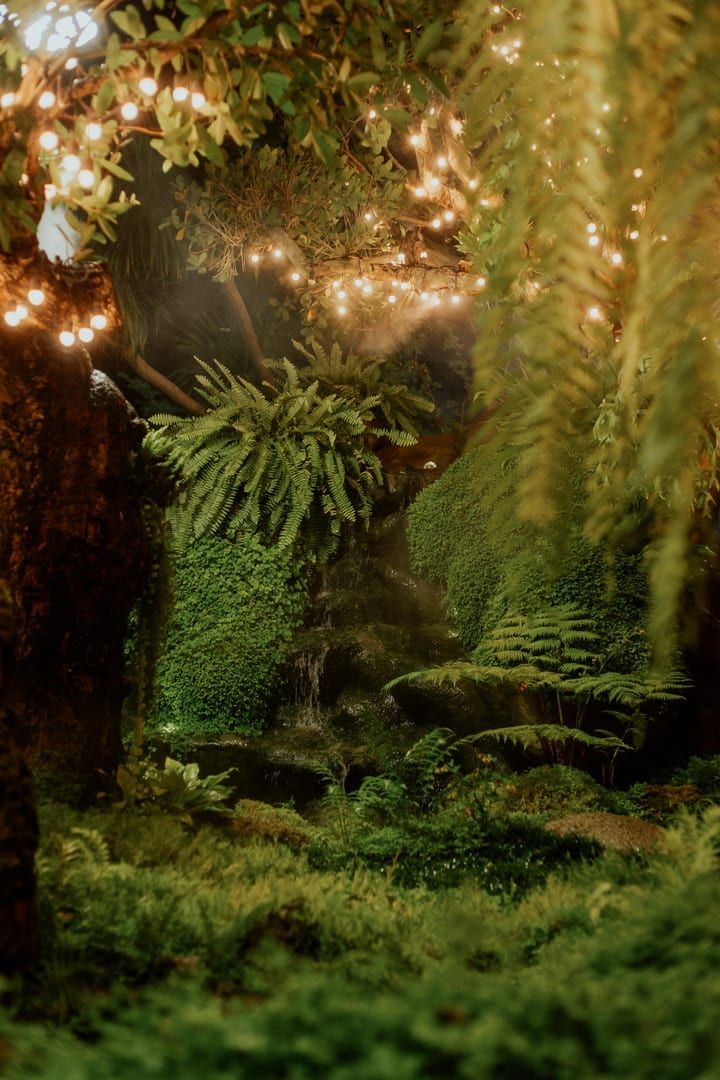 Magical forest scene at Nim Thongsuk garden Koh Samui hidden attraction