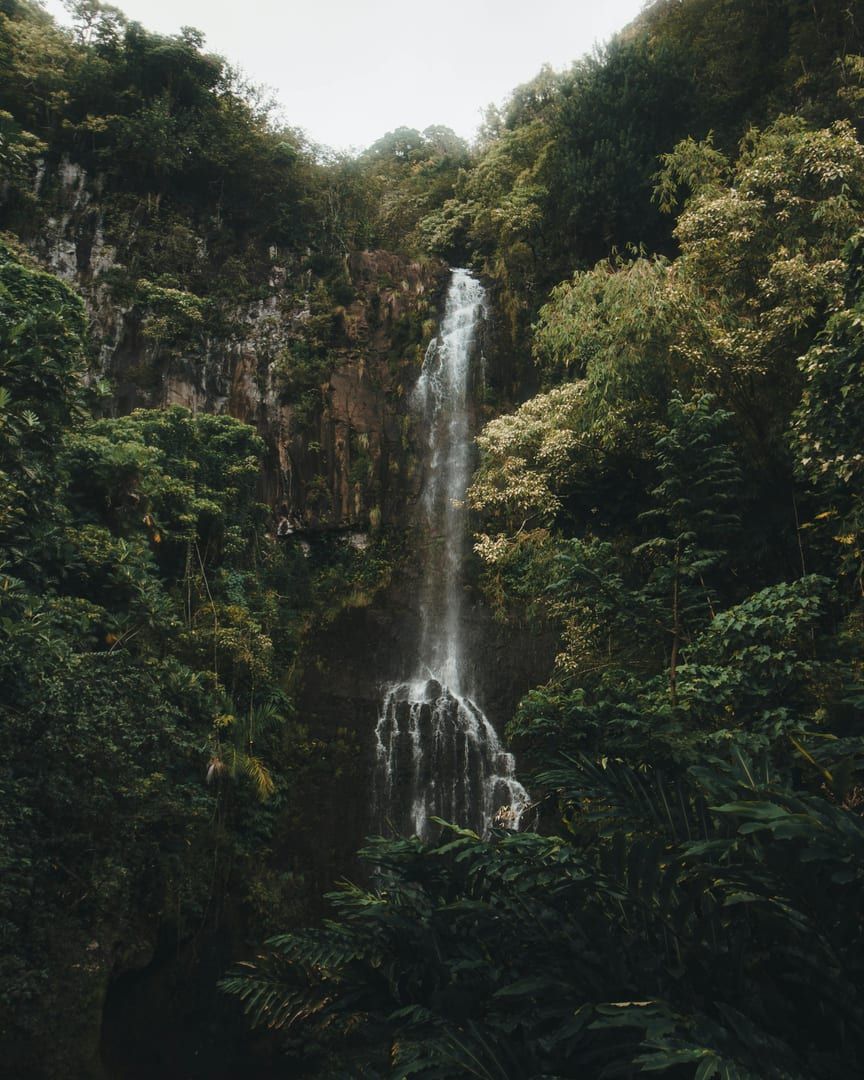 Wild and uncommercialized jungle setting at Tartain Waterfall Koh Samui