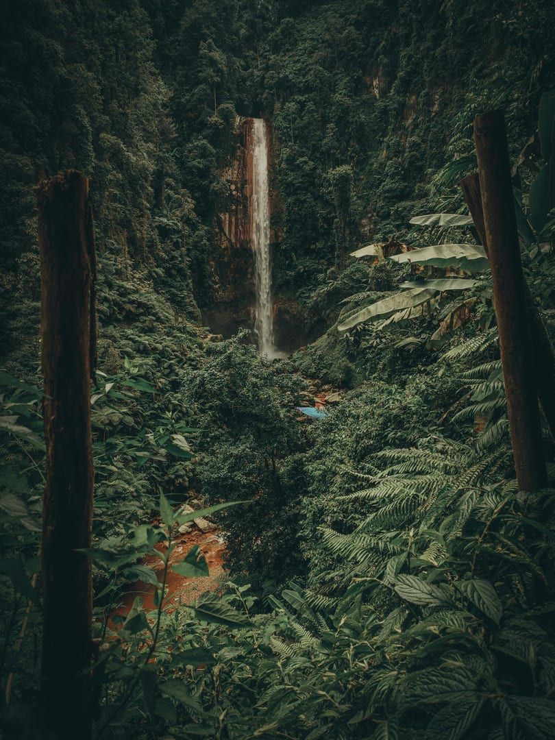 A quiet pool at the upper levels of Tartain Waterfall