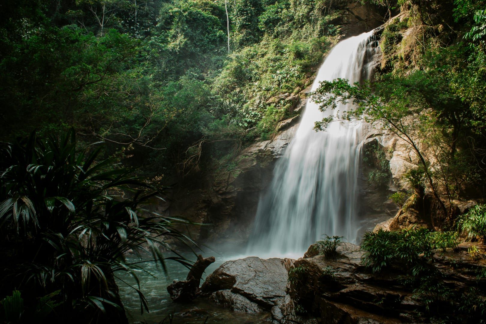 Peaceful natural pool in the Koh Samui south coast jungle